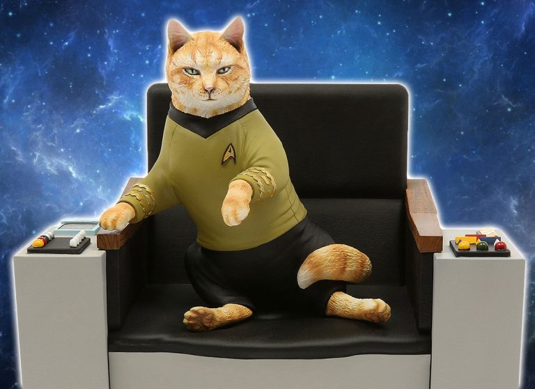 cat star trek character